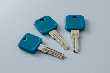 Close up of home keys on white background.