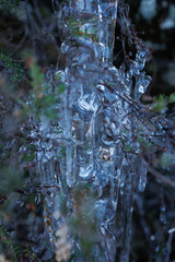 Frost and ice nature details