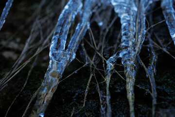 Frost and ice nature details