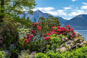 The Gardens at Walter Peak High Country Farm