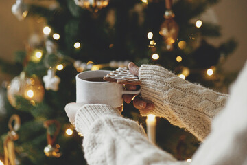 Hands in sweater holding warm cup of tea with christmas gingerbread cookie against festive...