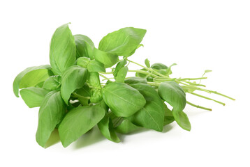 Fresh green basil on white background