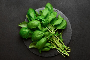 Board with fresh green basil on black background