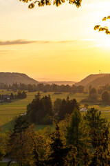 Grassy fields and trees in green rolling hills below a blue sky in the light of sunset in summer