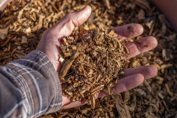 Chips of vegetable leftovers. Mulching in gardening. Organic fertilizer.
