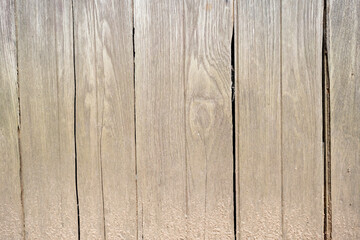 The background is an old wooden floor with patterns from age and decay.