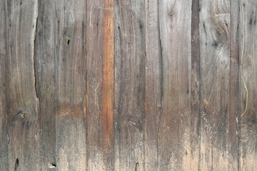 The background is an old wooden floor with patterns from age and decay.