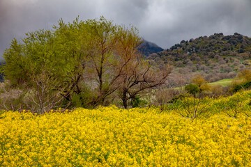 Gennargentu mountains, Sardinia. Italy