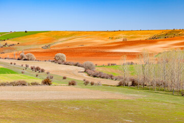 Landscape of Castilla, springtime