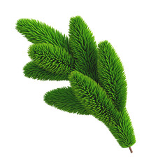 Christmas tree spruce branch. Xmas tree element fir twig isolated on transparent background. 3D render