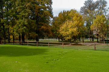 Pista de cesped para entrenamiento en equitación, para caballos de salto