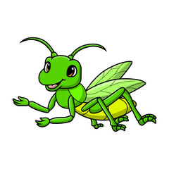 Cute grasshopper cartoon on white background