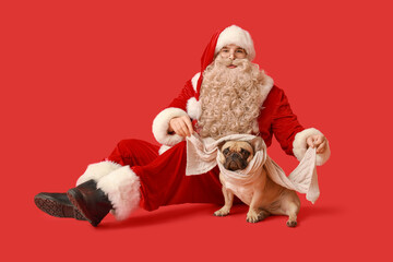 Santa Claus and French bulldog with scarf on red background