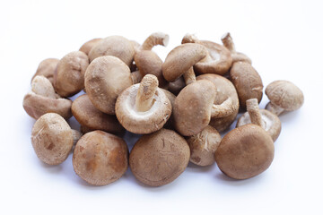 Fresh shiitake mushrooms on white background.