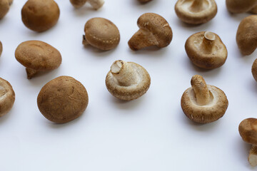 Fresh shiitake mushrooms on white background.