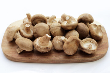 Fototapeta na wymiar Fresh shiitake mushrooms on white background.