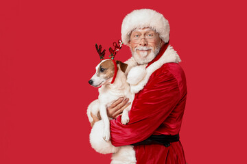 Santa Claus with cute Jack Russell Terrier dog in reindeer horns on red background