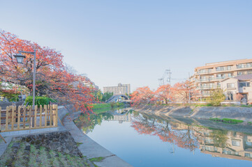 埼玉　草加の札場河岸公園