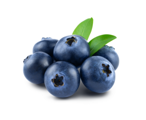 Isolated group of blueberries with leafs