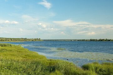 river close-up, in the photo there is a river, blue sky and green meadow