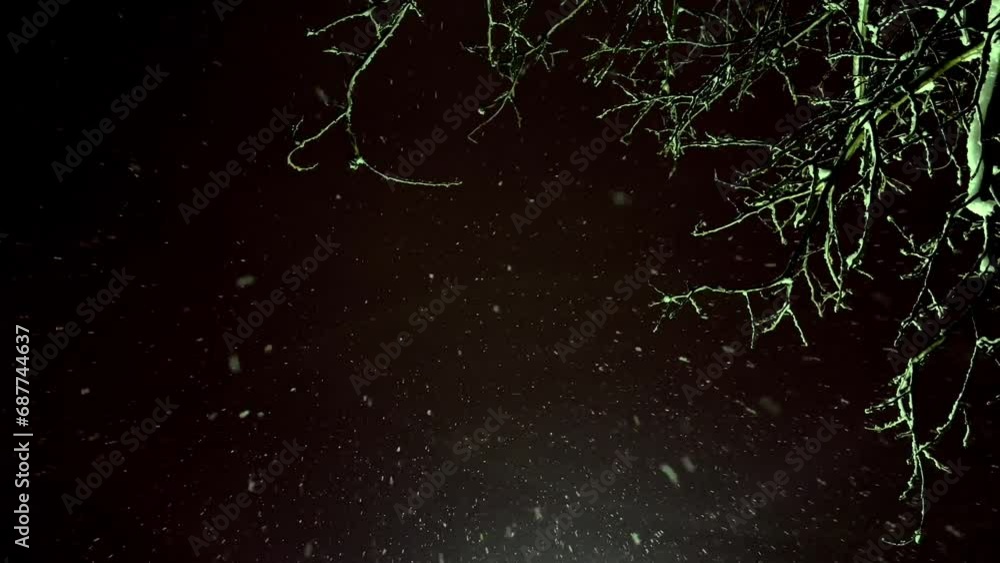 Aufkleber snowfall in the forest. night snowfall on the background of the sky and a tree with snowy branches.