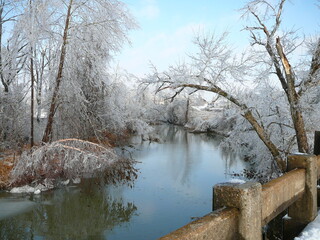 ice storm 1 favoret