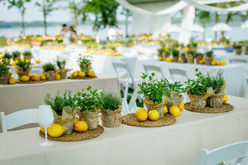 A rustic summer table with fresh lemons and herbs on a checkered tablecloth.