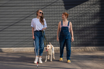 Blind caucasian woman walking with guide dog and pregnant girlfriend. 
