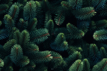 pine needles branches background wall texture pattern seamless