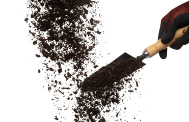 Fertilizer Organic mixed soil fly fall in shovel, tube compost fertilizer soil for planting float in air. Organic fertilizer soil throw in mid air. White background isolated high speed freeze motion