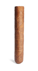 Cigar wrapped in tobacco leaf isolated on white