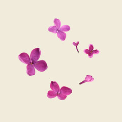 Fototapeta na wymiar Beautiful lilac flowers falling on beige background