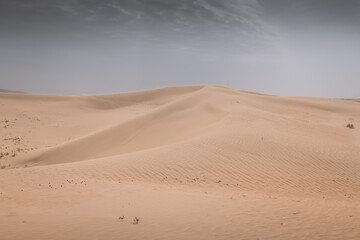 Fototapeta na wymiar Sand dunes in the Gobi Desert in Inner Mongolia, China
