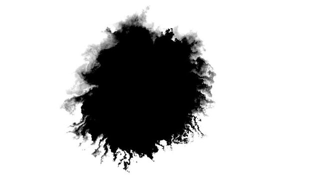 4K ink transition screen, drop texture, ink transition white and black. splatter blot, animation background , luma effect. Transparent effect, isolated, organic flow. ink splatter transition painting