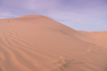 Fototapeta na wymiar Big dune and the sand texture at the foreground, Inner Mongolia, China