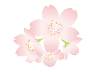 ワンポイントに使えるシンプルな桜の花のイラスト　グラデーションカラー