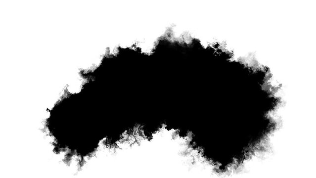 ink brush blot, splat, fluid art, overlay, alpha matte composition, spreading brush stroke. ink splatters, falling spreading. Ink transition, ink bleed bloom, drips on white surface. Spilling black