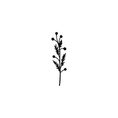 decoration plant black and white decorative