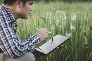 A man farmer examines the field of cereals and sends data to the cloud from the tablet, Smart...