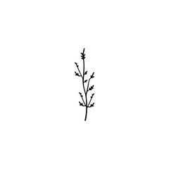 Obraz premium decoration plant black and white isolated