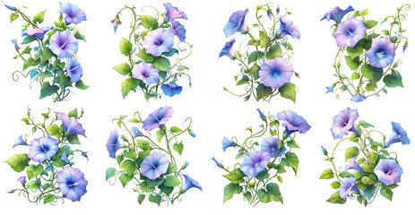 morning glory flower watercolor illustration clipart. Generative AI