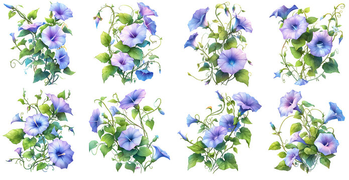 morning glory flower watercolor illustration clipart. Generative AI