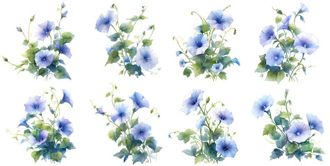 morning glory flower watercolor illustration clipart. Generative AI - obrazy, fototapety, plakaty