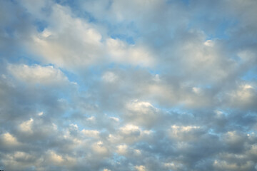 Blue sky with white fluffy cumulus clouds