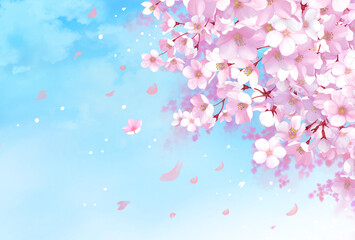 桜と青空の背景素材　桜吹雪　お花見　入学　卒業　入園　卒園　入社　ひな祭り　雛祭り　コピースペース