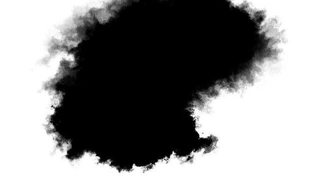 ink brush blot, splat, fluid art, overlay, alpha matte composition, spreading brush stroke. ink splatters, falling spreading. Ink transition, ink bleed bloom, drips on white surface. Spilling black