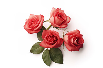 Red Roses on a White Background using generative AI 