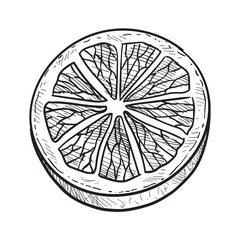 lemon handdrawn illustration
