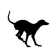 Silhouette of running dog pet animal isolated on white background.