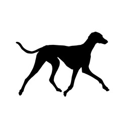 Silhouette of running dog pet animal isolated on white background.